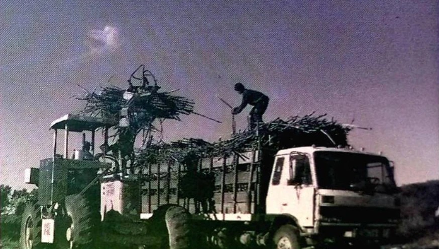 Camión cargando caña de azúcar cortada, Ingenio La Cabaña, hacia 1996