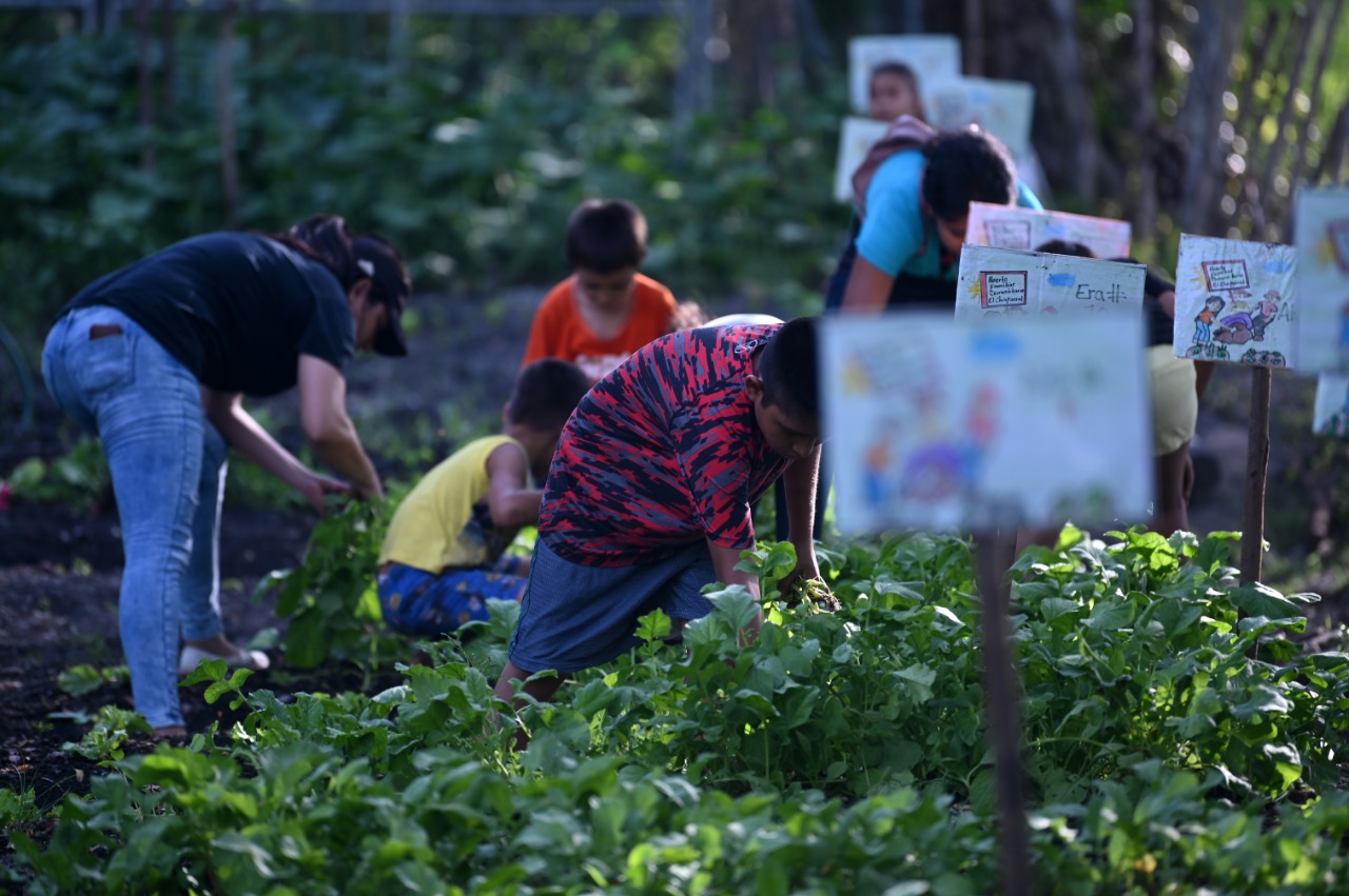 Actividad comunitaria en un huerto educativo con participación de familias de la comunidad